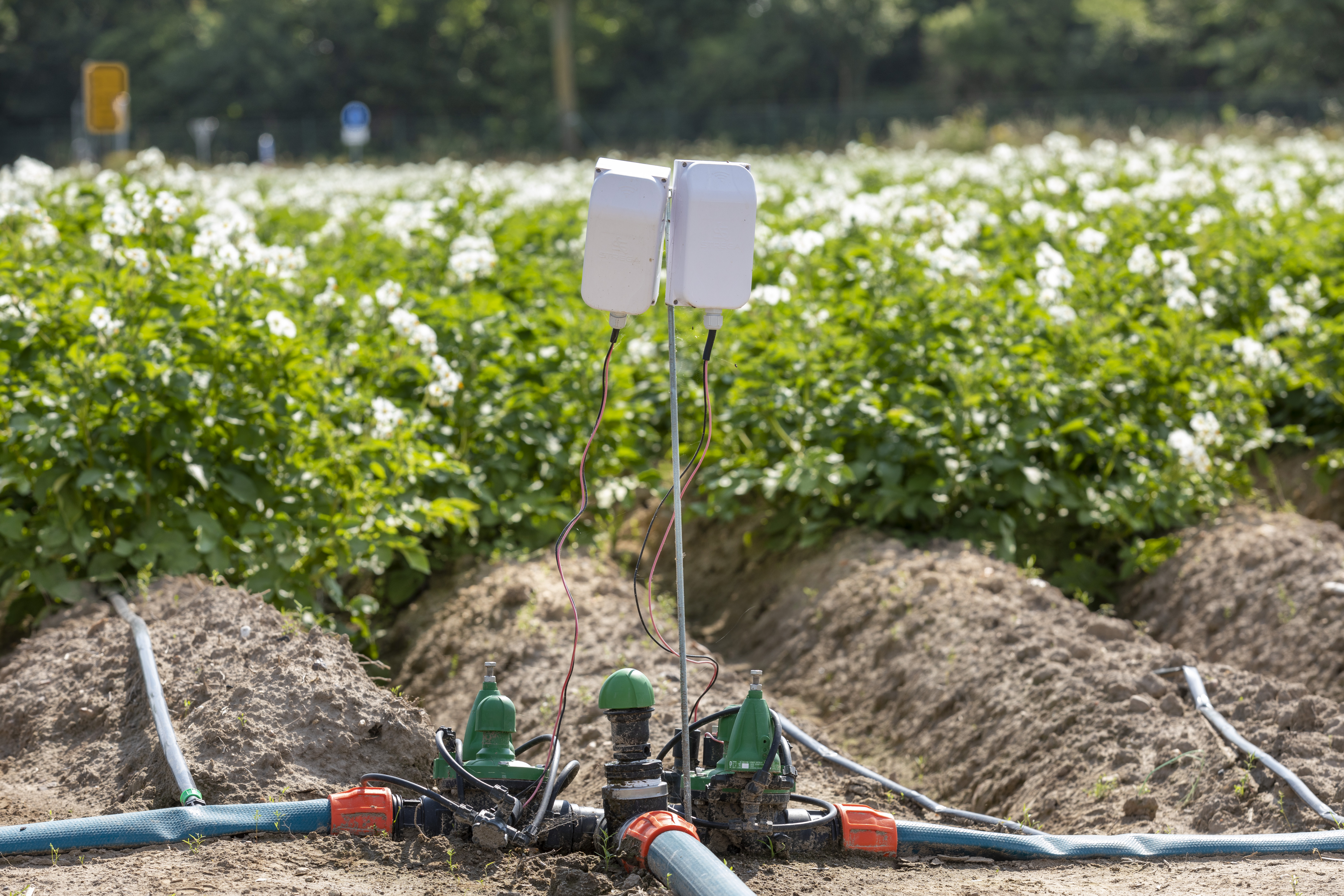Effiziente Bewässerung mit Irri360