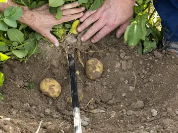  Efficient irrigation with GWE