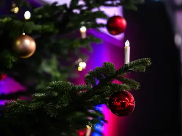 Wunschbaum-Aktion der BAUER AG 2025: 150 Wünsche wurden wieder erfüllt